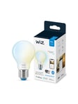 WiZ Standard E27 ljuskälla, frostat glas