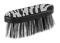 Rotborste Zebra