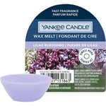 Yankee Candle Huonetuoksut Tuoksuvaha PurpleLilac Blossoms 22 g
