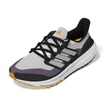 adidas Women's Ultraboost Light C.rdy W Shoes-Low (Non Football), Dash Grey Silver Met Shadow Violet, 9.5 UK