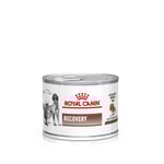 Royal Canin Veterinary Feline Recovery Ultra Soft mousse -  Ekonomipack: 48 x 195 g