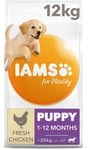 Iams For Vitality Large Breed Puppy Dry Dog Food With Fresh Chicken, 12 Kg