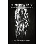 Numerisk kaos : stokastiska svärtor och variabler (inbunden)