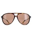 Polo Ralph Lauren Aviator Mens Shiny Dark Havana Brown Sunglasses - One Size