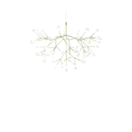 Moooi Heracleum III Taklampe Stor Grønn