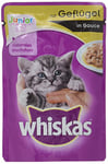 Whiskas Cat Food Junior for Young Heranwachsende Cats 24 X 100