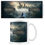 Pyramid International Harry Potter Mug (Hogwarts Legacy Design) 315ml Coffee Mug, Harry Potter Gifts for Women, Harry Potter Gifts for Men - Official Merchandise