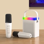 Karaoke Machine Set With RGB Light Rechargeable BT Speaker With 1 Wir BGS