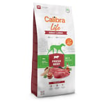 Calibra Life Adult Large Breed med färskt nötkött - Ekonomipack: 2 x 12 kg