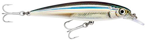 Rapala X-Rap Saltwater Lure with Two No. 3 Hooks, 1.2-1.8 m Swimming Depth, 10 cm Size, Anchovy