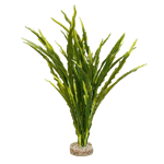 Sydeco Plastväxt Majestic ocean plant ca 30 cm