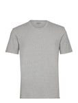 Bamboo Tee Grey Frank Dandy