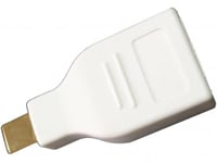 Sandberg MiniDP to DisplayPort Converter White