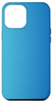 Coque pour iPhone 14 Pro Max Échantillon de couleur dégradé élégant minimaliste mignon bleu océan ciel