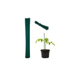 Blompinnar 30 cm i set om 50
