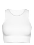 White Ribbed Seamless Crop Top Sport Bras & Tops Sports Bras - All White Aim´n