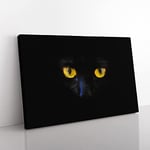 Big Box Art Eyes of a Cat Painting Canvas Wall Art Print Ready to Hang Picture, 76 x 50 cm (30 x 20 Inch), Black