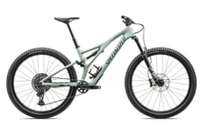 Specialized Stumpjumper Comp S2