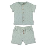 Sterntaler Set skjorte+korte bukser palmetre mellomgrønn - Bare i dag: 10x mer babypoints