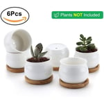 Rectangular Ceramic Succulent/cactus Plant Pots
