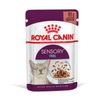 Royal Canin Sensory Feel i saus - 96 x 85 g