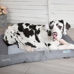 Scruffs Dog Cool Bed Grey
