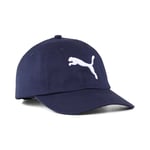 Puma CAT LOGO CAP NAVY/WHITE