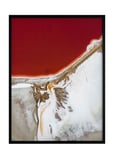 Democratic Gallery Poster Earth And Nature Röd