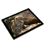 A3 Glass Frame - Baby Leopard Cat Kitten Art Gift #14599