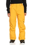 Quiksilver Estate - Pantalon de Snow Technique pour Garçon 8-16 Ans