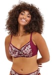 SANS COMPLEXE Capucine_79AAK28 Soutien-Gorge, Rouge Rhododendron et Rose Poudre, 95C Femme