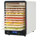 vidaXL Torkugn med 10 brickor 550 W vit Vit