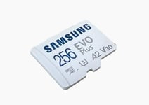 Samsung Carte Mémoire Micro SD Evo Plus 256 Go Micro SDXC A2 V30 jusqu'à 130Mb/s sans l'emballage (en vrac)