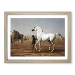 Jacques Laurent Agasse The Wellesley Grey Arabian Classic Painting Framed Wall Art Print, Ready to Hang Picture for Living Room Bedroom Home Office Décor, Oak A4 (34 x 25 cm)