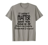 It Doesn’t Matter What You Think Of Me Because My Imaginary T-Shirt