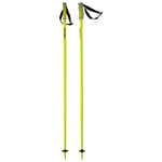 HEAD Unisex - Adult Multi Neon Yellow Black Ski Poles, Black/Neon Yellow, 110