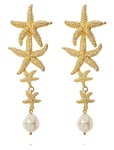 Falling Sea Star Earrings Örhänge Smycken Gold Caroline Svedbom