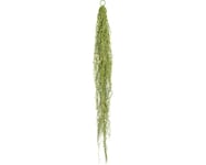 Konstväxt Tillandsia hängande ca 140cm grön