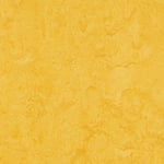 Forbo Linoleumgolv Marmoleum Click Lemon Zest 30x30 cm 450006