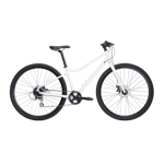 AX 290 ANE 23 hybridcykel, dam