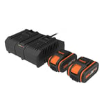 WORX - Pack 2 batteries et chargeur double - 20V - 4Ah - WA3611 (avec indicateur de niveau de charge, compatibles avec tous les outils 20V/40V/80V, Garantie 2 ans)