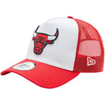 Lippalakit New-Era  A-Frame Chicago Bulls Cap