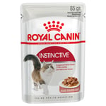 Ekonomipack: Royal Canin våtfoder 48 x 85 g - Instinctive i sås