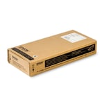 Epson T6420 rengöringspatron (original)
