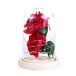 Artificial Rose Flower 20led Light Glass Cover Lamp Ornament No.1