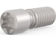 Triton Låsbult Schroff, Rostfritt Stål, M2,5 X 9, Torx 8