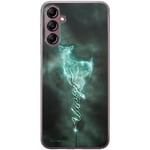 ERT GROUP mobile phone case for Samsung A14 4G/5G original and officially Licensed Harry Potter pattern 077 optimally adapted to the shape of the mobile phone, case made of TPU