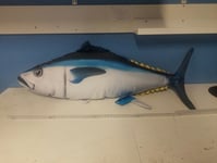Kudde Tonfisk