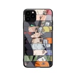 FUTURECASE Anime Cartoon Pain Tempered Glass Phone Case for iPhone SE 2020 6 6S 7 8 Plus 10 X XR XS Max 11 Pro Back Covers (14, iPhone 11)