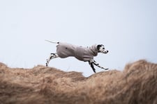 Non-stop Dogwear Drying Hundtäcke Sand 40-70